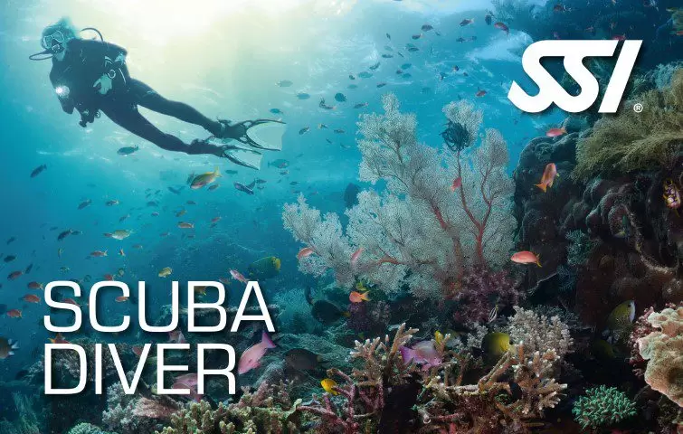 Scuba diver course