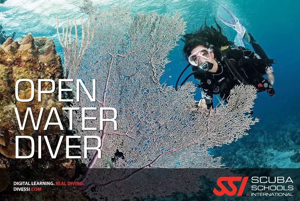 Open water diver course