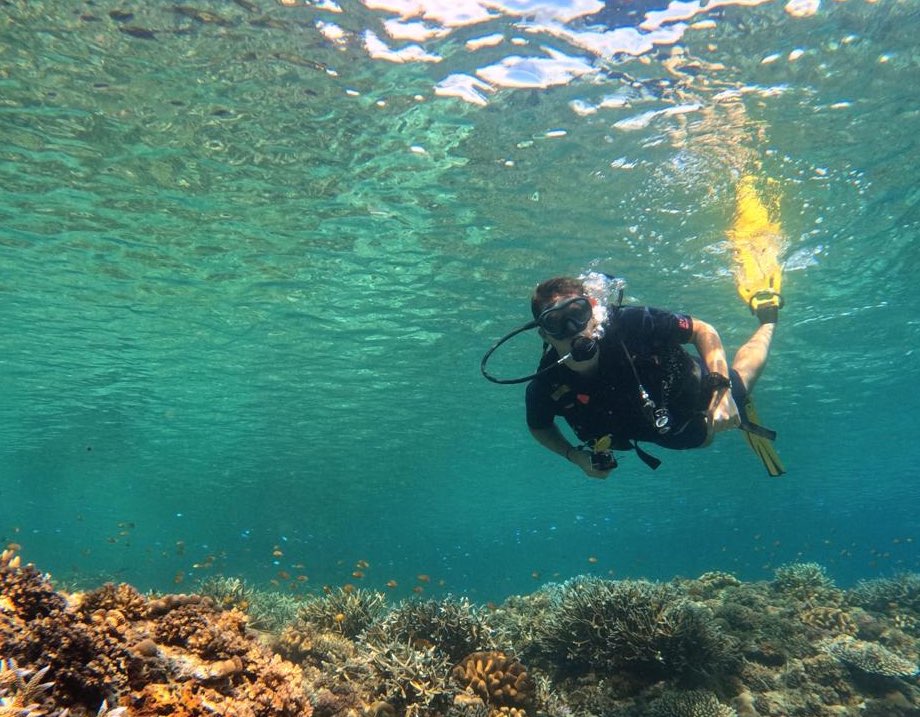 Scuba diver exploring the coral reef