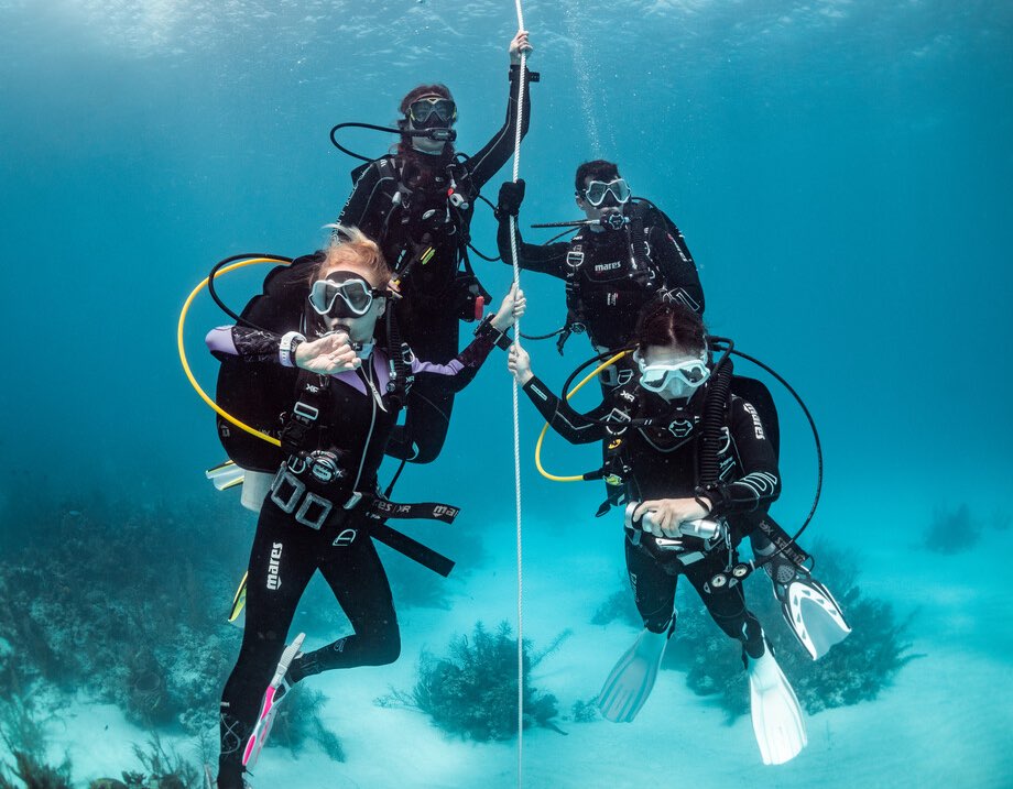 Scuba divers underwater