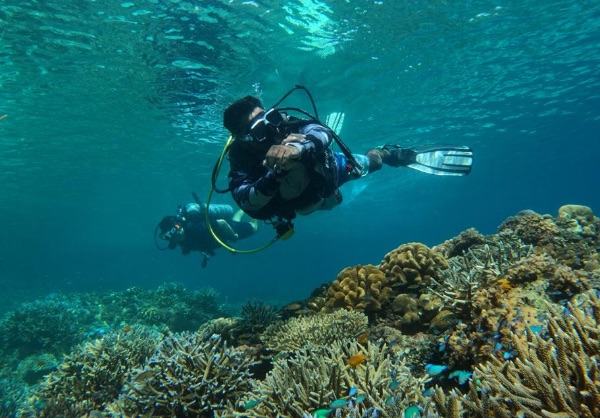 scuba diving in Andaman